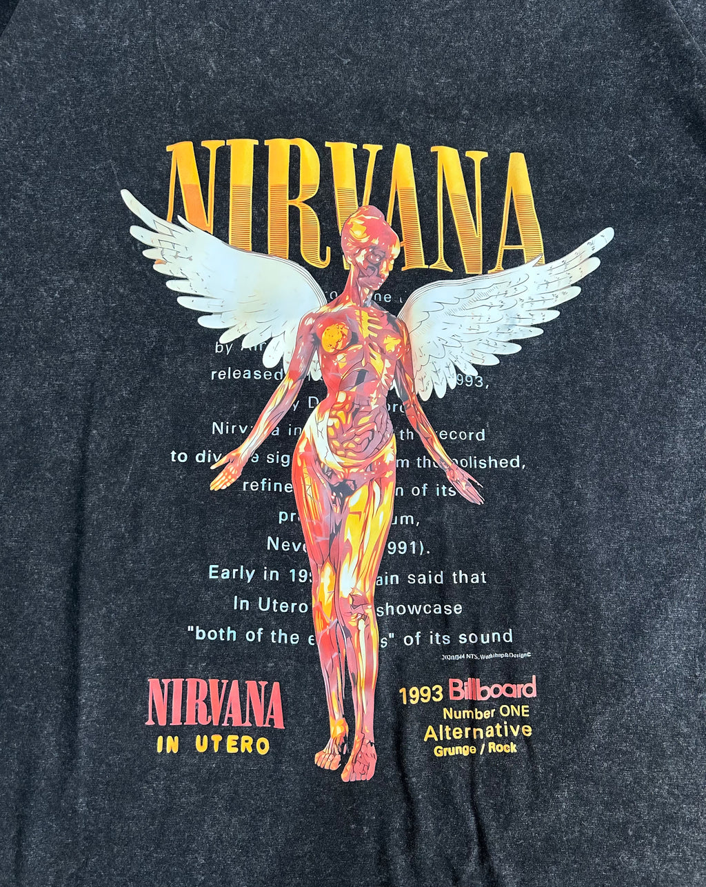 Nirvana Tee - In Utero Vintage Washed