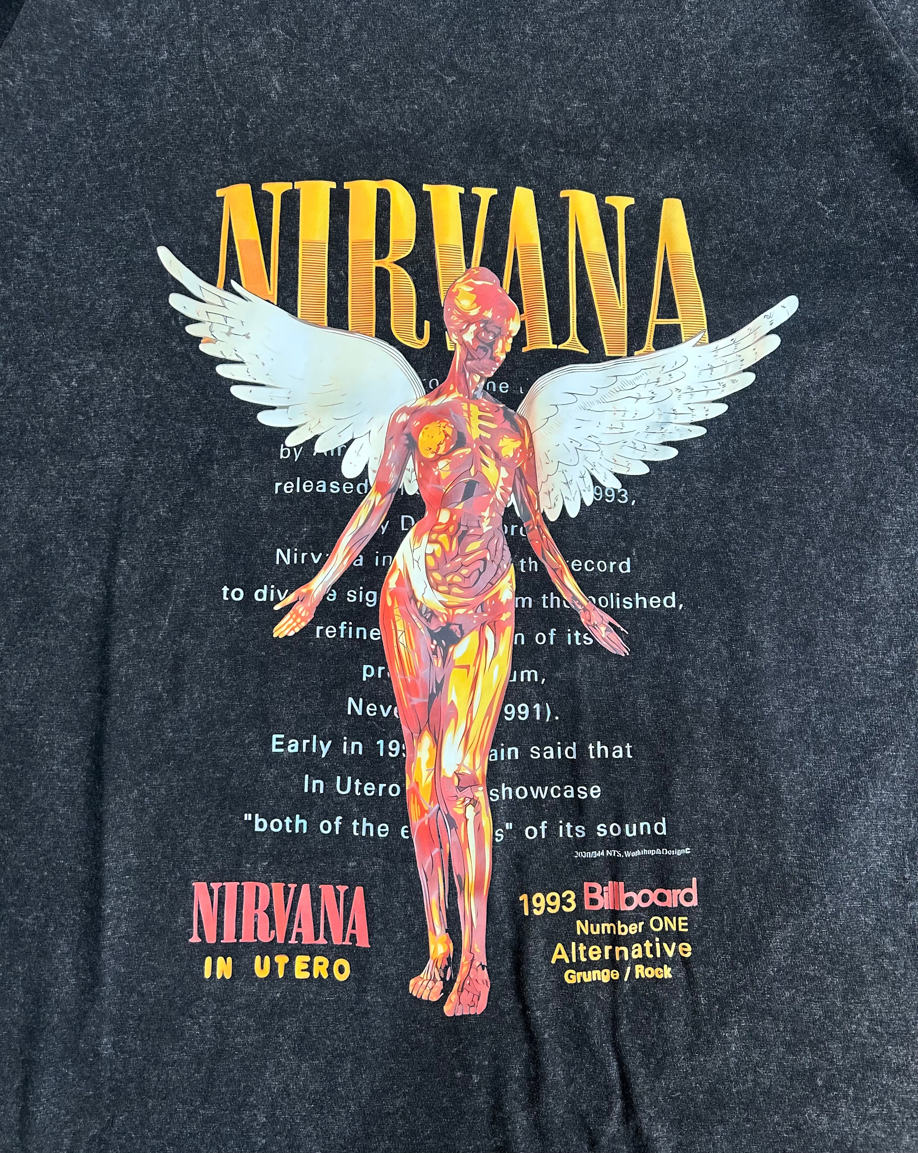 Nirvana Tee - In Utero Vintage Washed